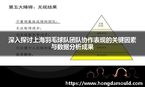 深入探讨上海羽毛球队团队协作表现的关键因素与数据分析成果