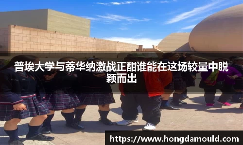 星空xk体育